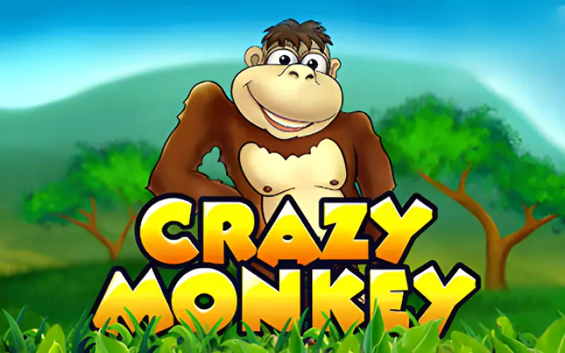 Divirta-se com o clássico e popular jogo Crazy Monkey na Zeroum e ganhe prêmios.
